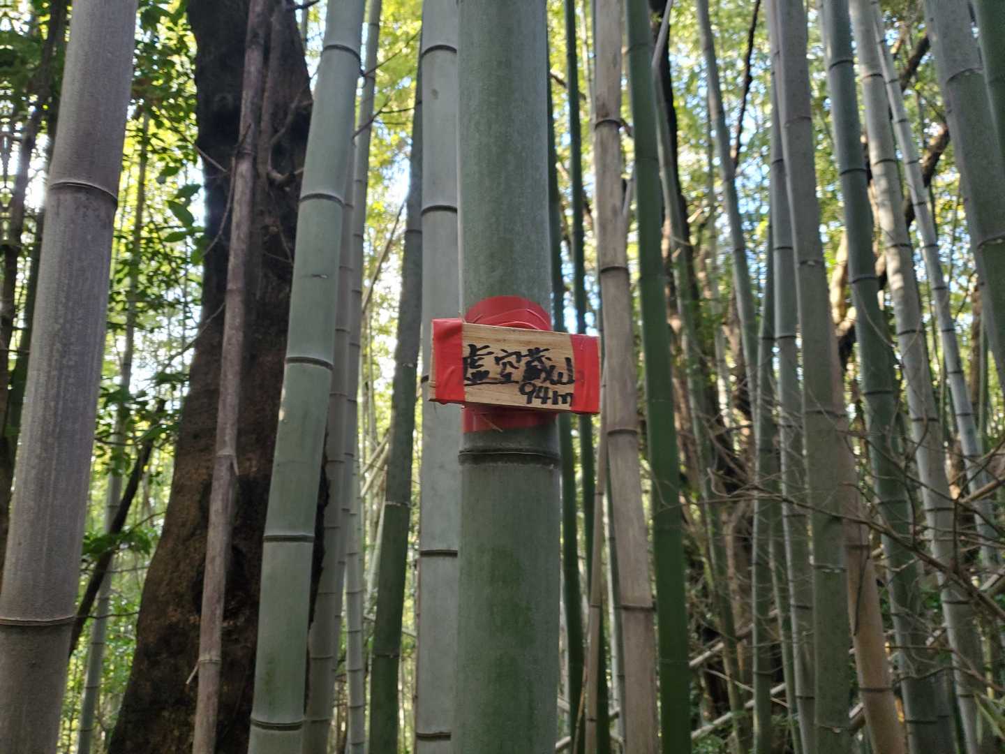 ポツん....