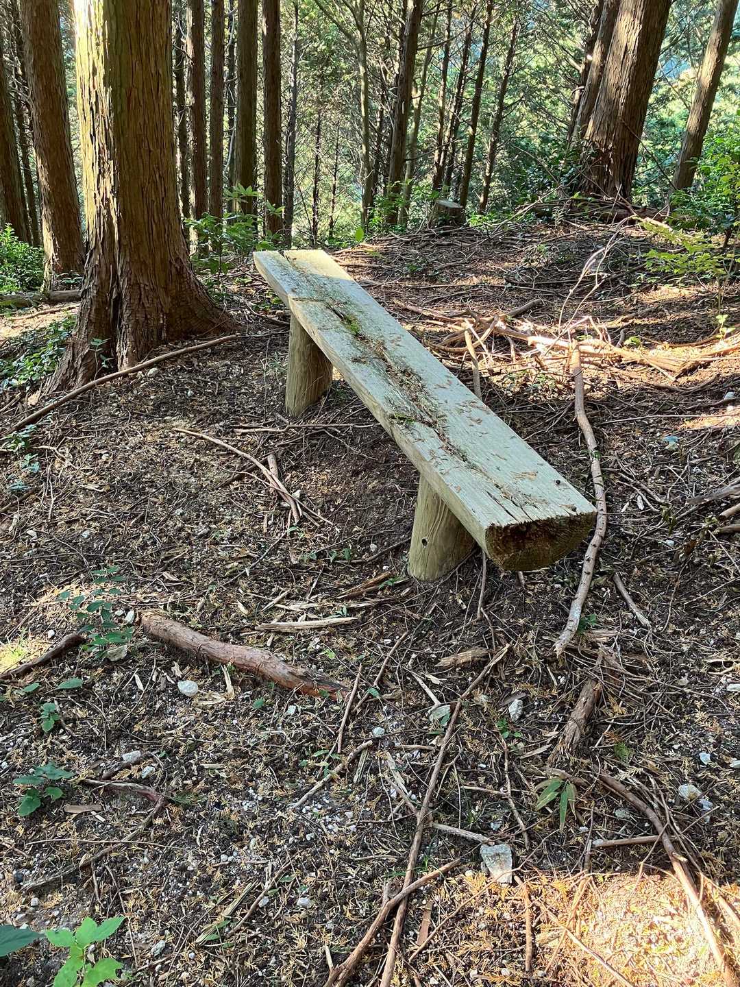 行きは気付かなかった。ベンチ2個あります。