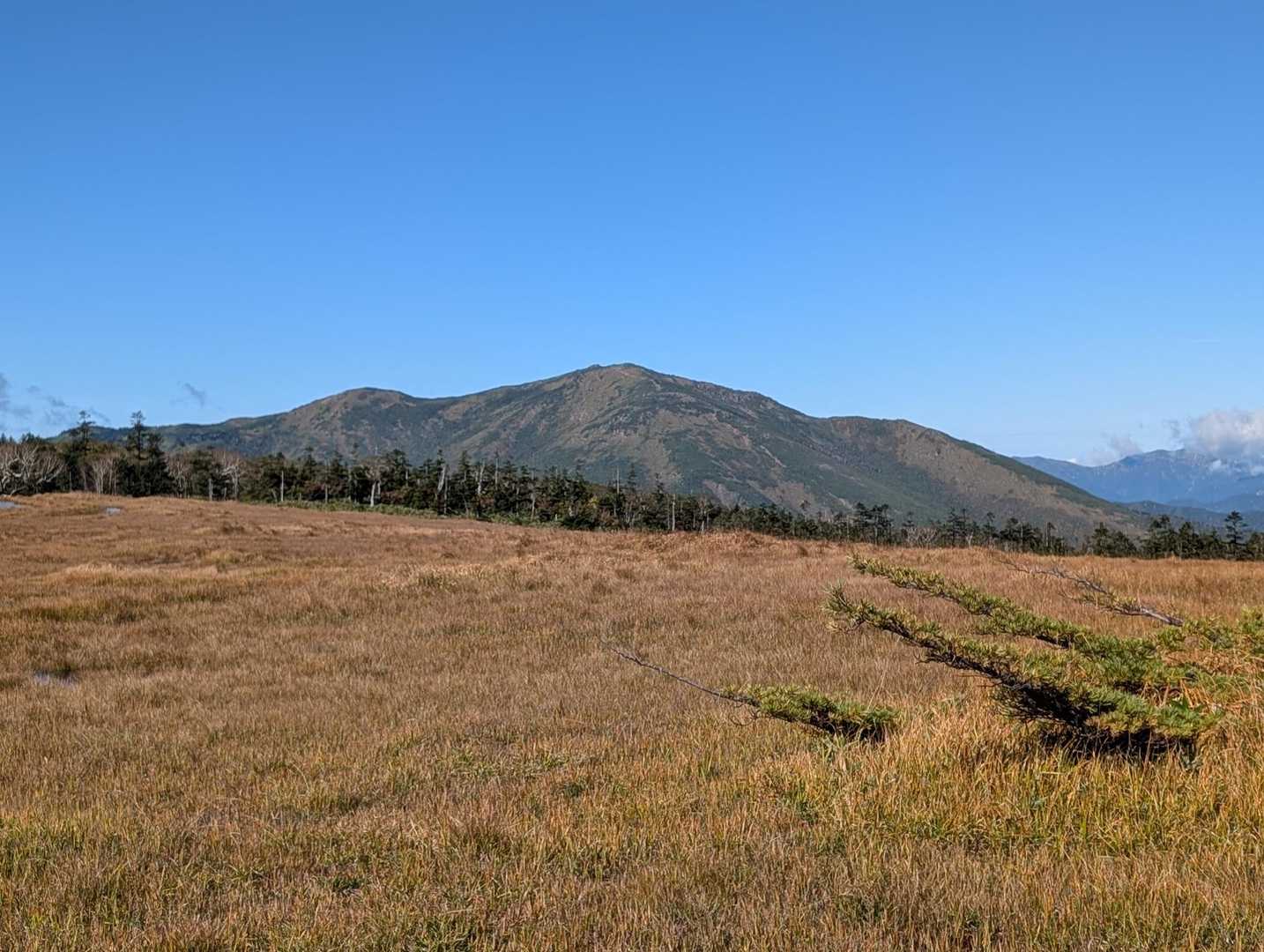 湿原の向こうに至仏山😃