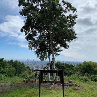ついーんしらかばひろば