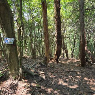 毘沙門山ピークこんな感じ
