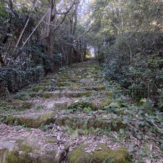 大石段まで戻ってきました。