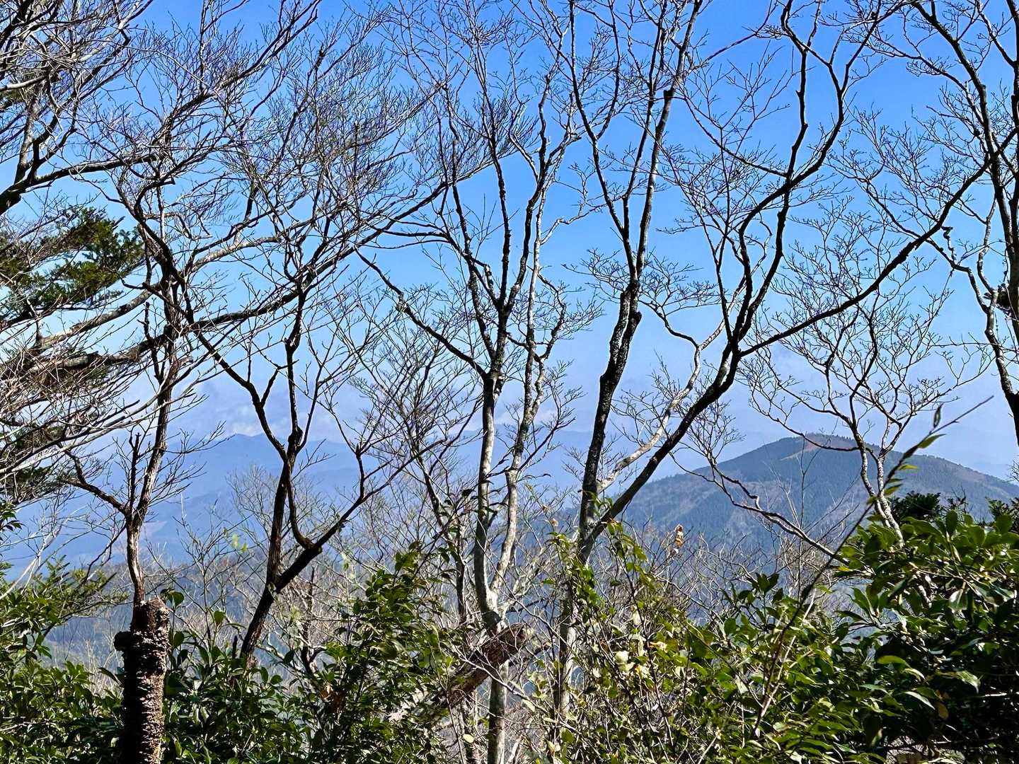山頂から見えたのは、ここだけでした⛰️