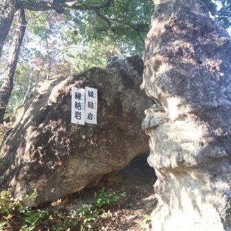 良縁ありますように🙏違うか(笑)