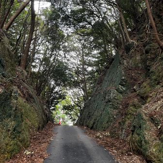 切り通しを通って