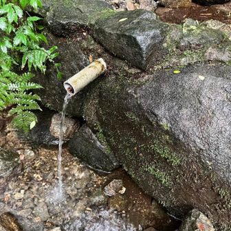 雨だからいつもより多い気がする