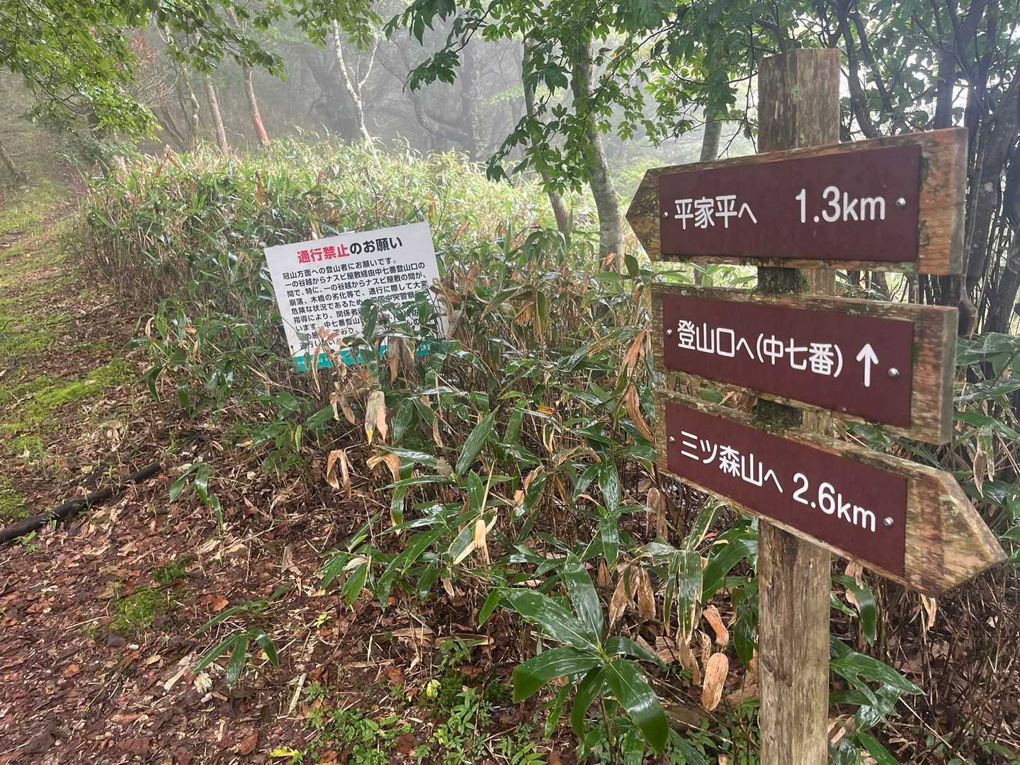 我慢の九十九折りを終えて稜線へ
急登がほとんどない分ここまで結構距離がある😅