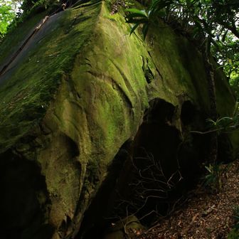 岩にロープがありこの上に上がれるけど、降りるのが大変そう💦
それにしても緑がステキ🟢