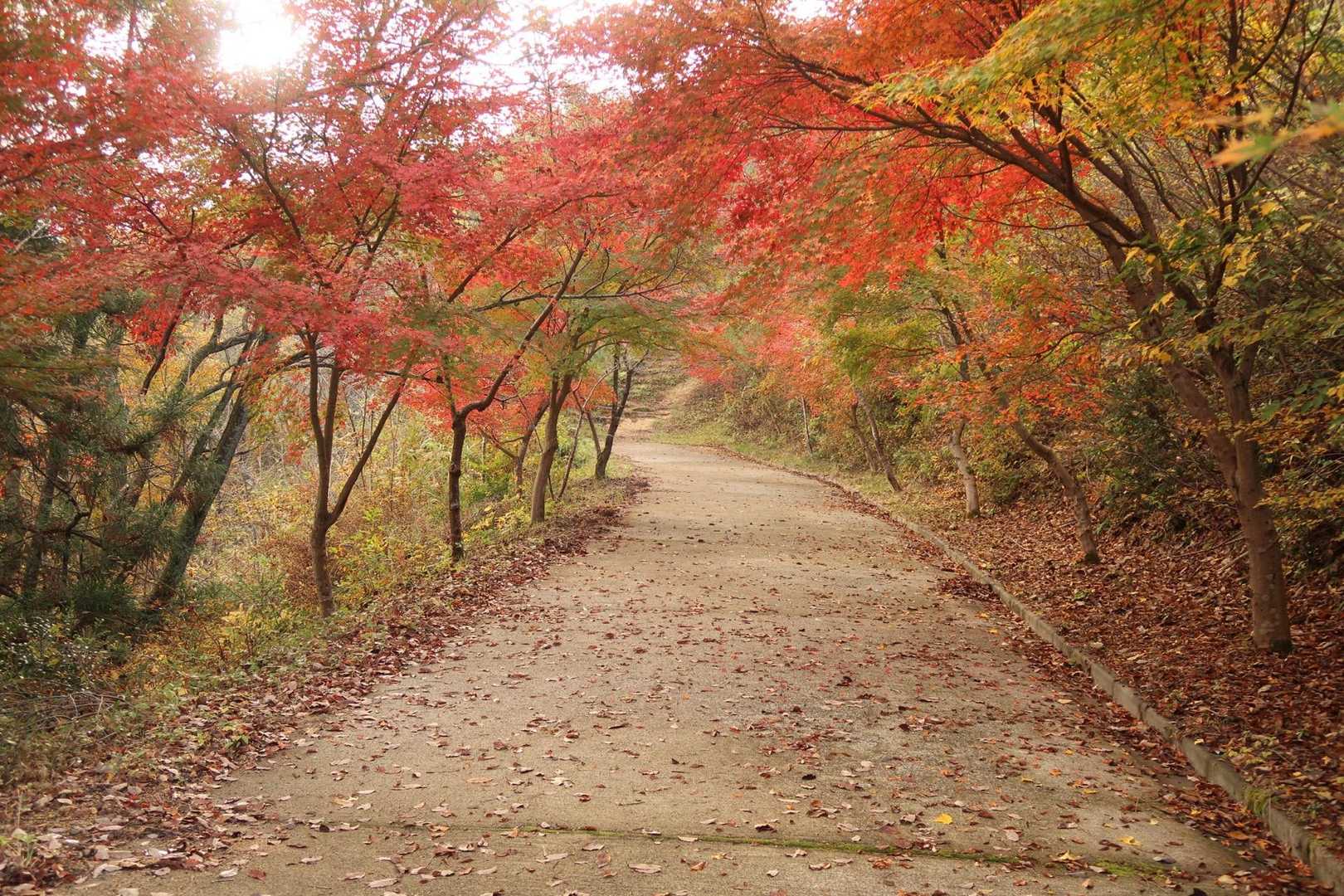 三床山へ
紅葉🍁は色づき始めな