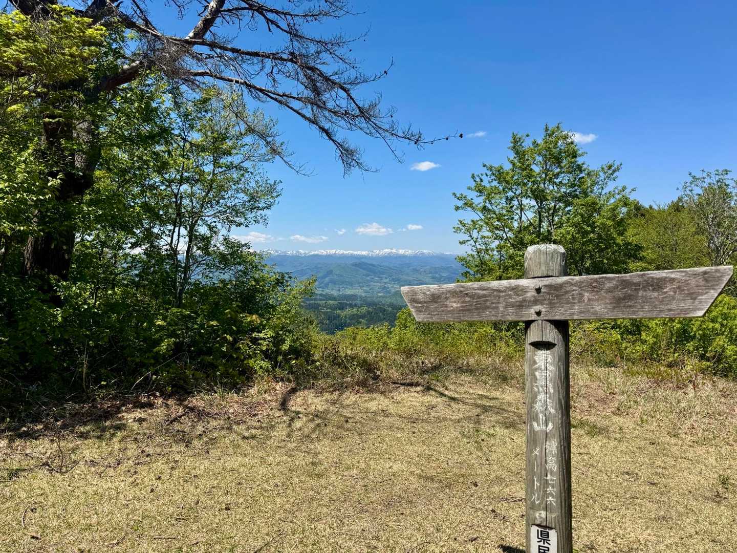 山頂到着🙌