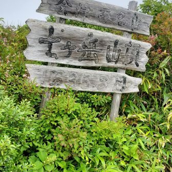 七ヶ岳山頂。ガスガスだけどもうちょい進んでみることに。