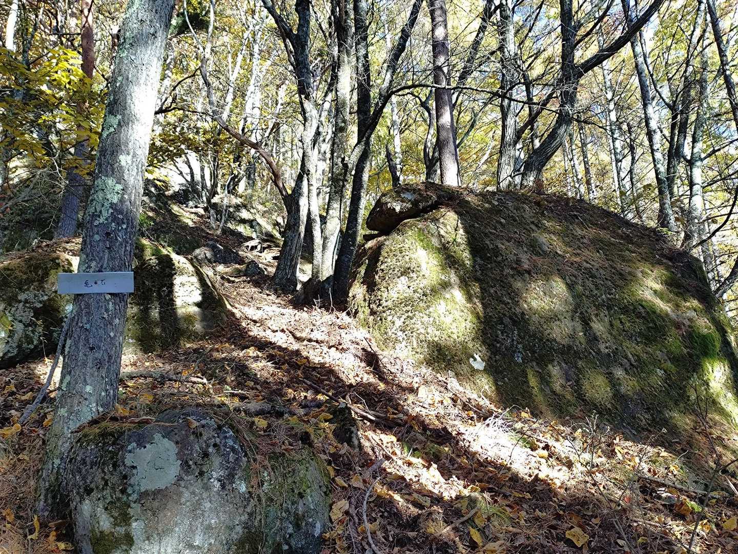 亀岩