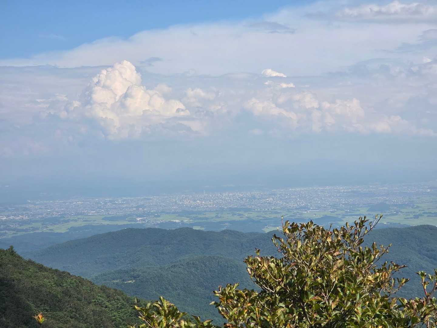 たらのめの豪邸が見えました🏯