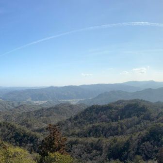 本当いい景色です