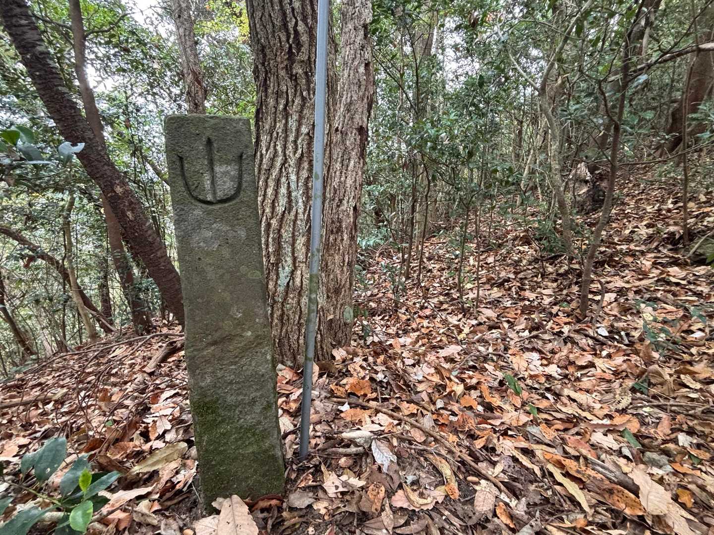 ちょっと変わった”山”見っけ💡