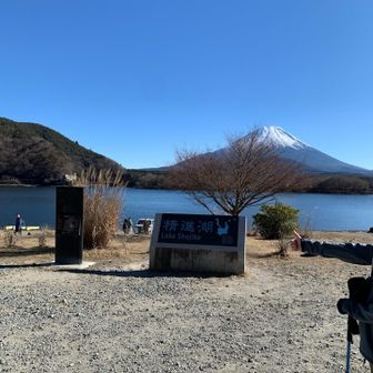 精進湖の碑。
この木の位置よ。。。。

お疲れ山でした。