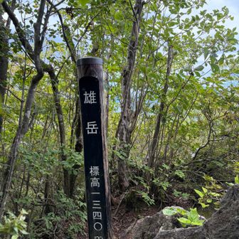 🙌先客がヒトリいました
一緒にエネルギーと給水タイム