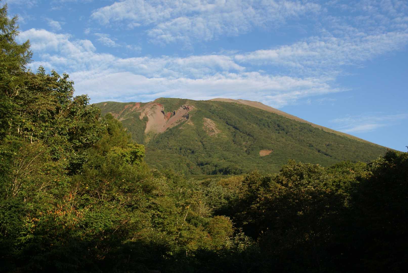 登山口から望む山頂方面。右奥が山頂。