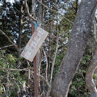 ここで地元のお父さんとお話しさせていただいて楽しかった、昨日は避難小屋泊したらしい