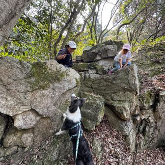 自称マイクラの岩🪨w