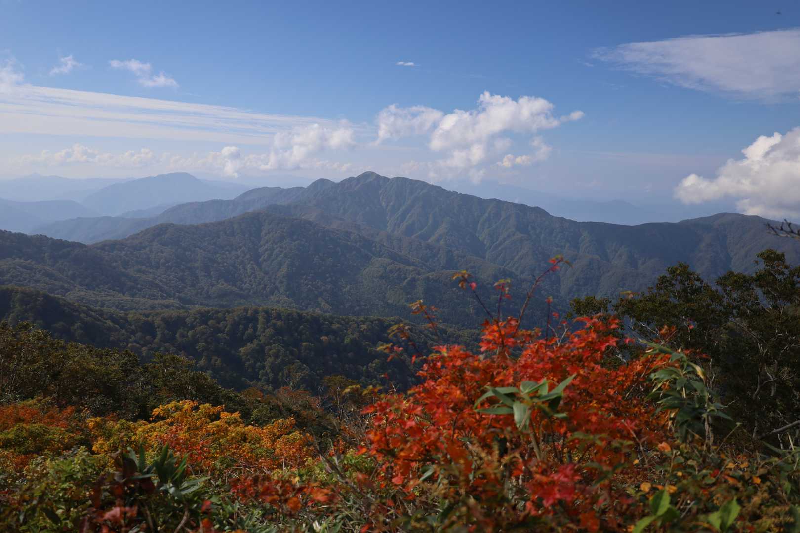 経ヶ岳方面