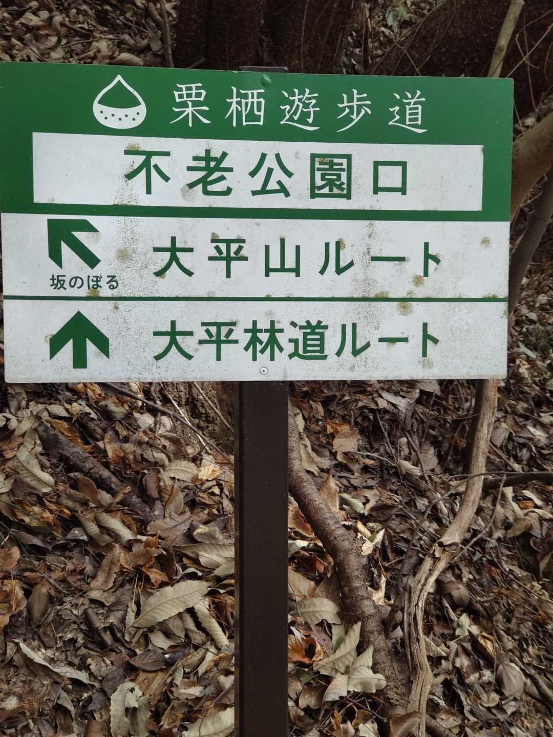 ピストンで下山
