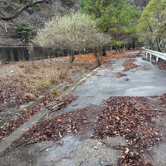 舗装路と落ち葉🍂ロードへと
ダム🦫って　水💦貯めると　周りの山々へと影響が凄いみたいで、周辺の山がズレるそうです
なので
周りの山々は頑丈にしてるようで