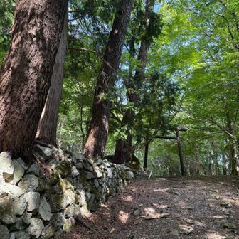 観音平まで登ってきました。