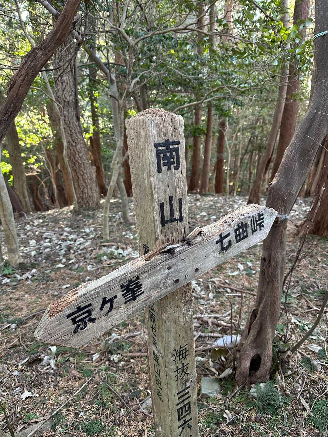 愛宕山-京ヶ峯-七曲峠-ホド田山-音羽富士-古坂峠 周回コースの写真