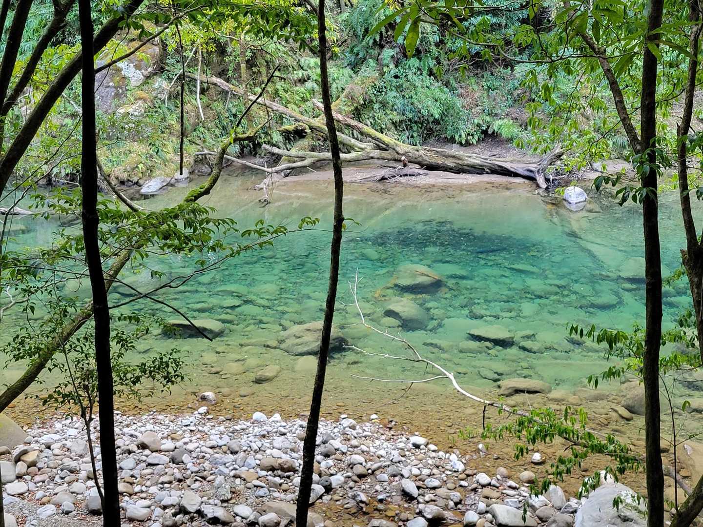 花切山 往復コースの写真