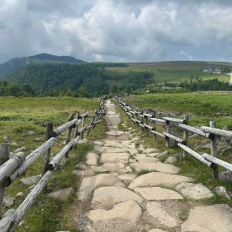 牧場へ続く道です
緩やかに下ります