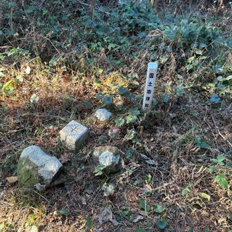 わざわざかなり遠回りして取りにきたピーク。
倉戸山
山頂看板見つからず。
日が暮れてきて怖いので速攻退散(;^_^A