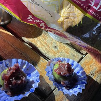 今年のヨモギだそうです🌿