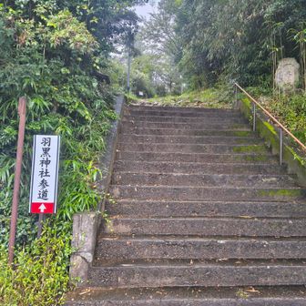 羽黒神社参道