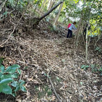 斜度があるところもあるが、ロープあり。
普通のスニーカーで歩けた。
落ち葉の道をサクサク。
私たち以外にも、登ってる人がいた。
