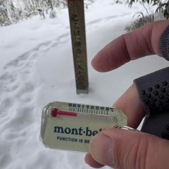 気温はマイナス13℃くらい。雪降ってるし、🌥️だし、今日は寒い。