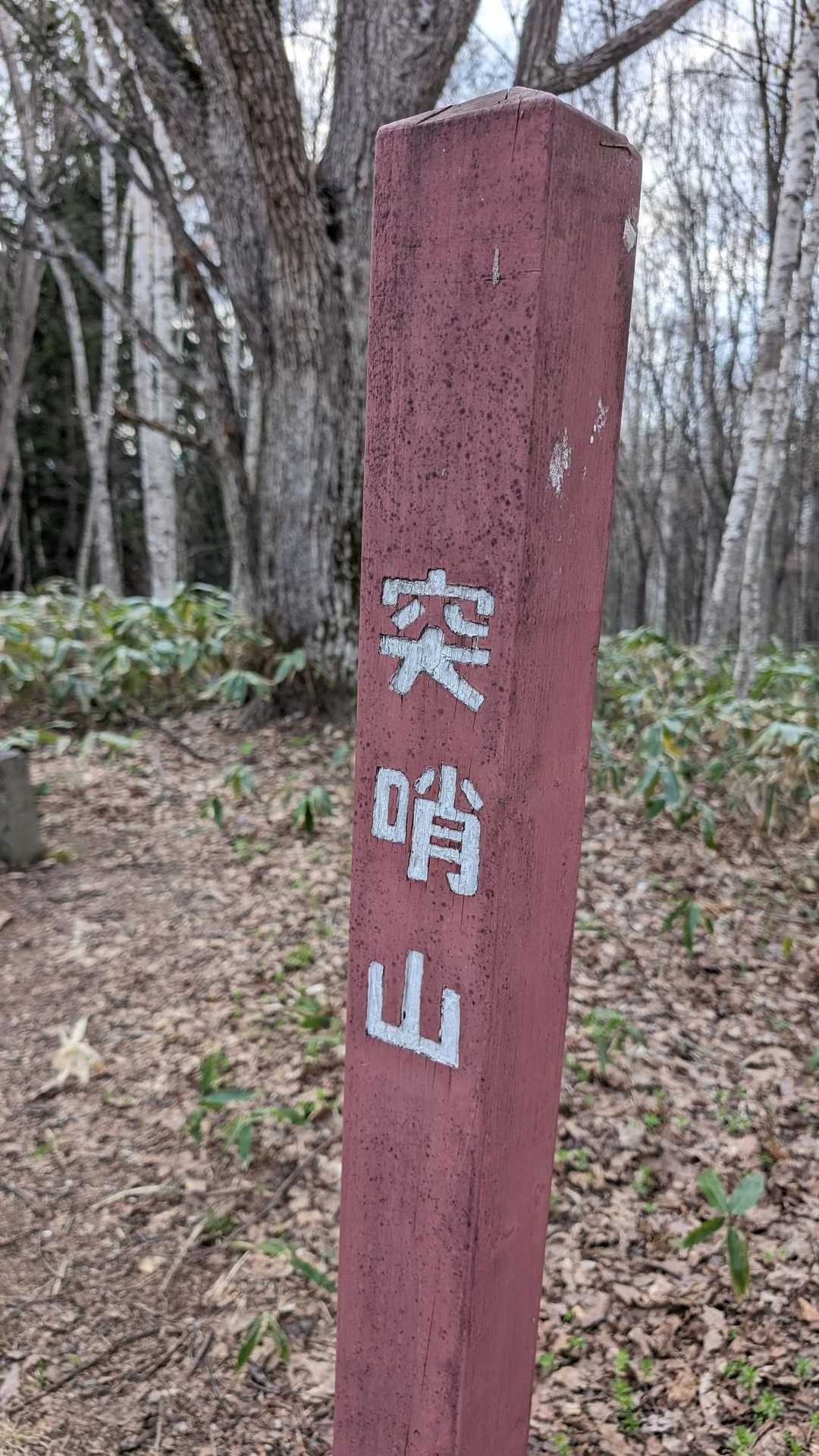 山頂