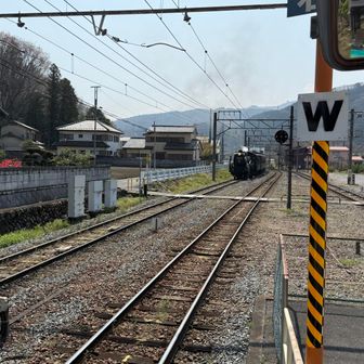 タイミングよくSLきたぁ〜🚂