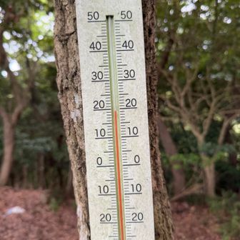大山まで戻って来ました
気温は19.5℃🥰