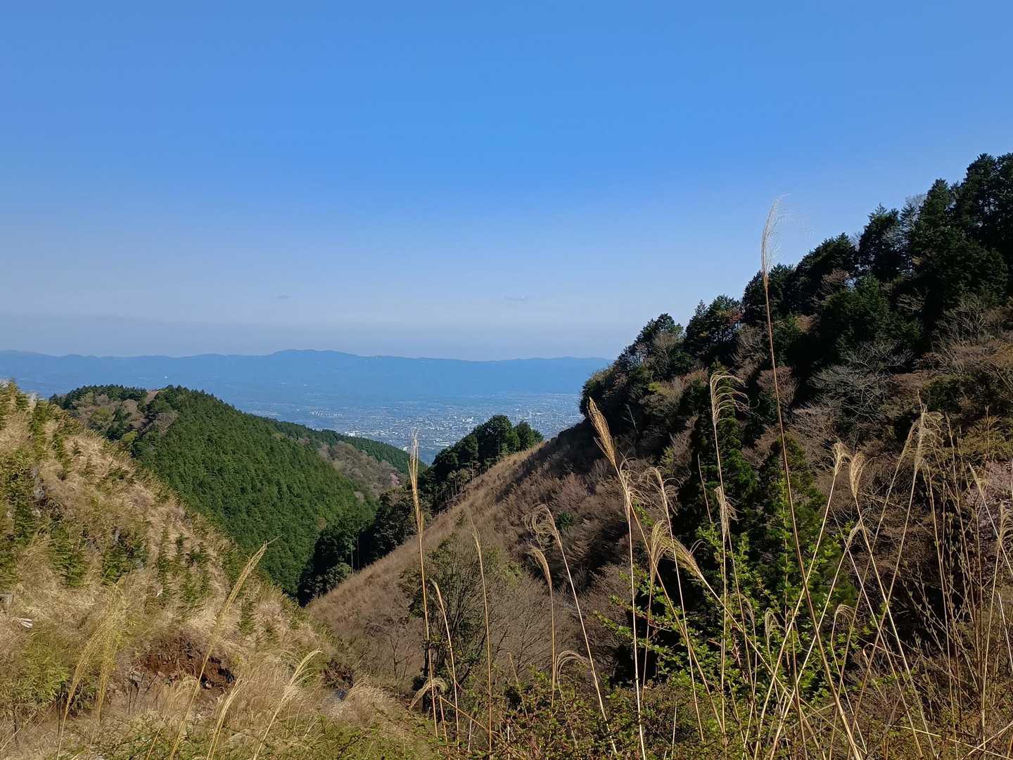 春霞🌸
帰路は粘土質な道→ガレ場→砂利道
久々に足首がカクカクになりました🦶
