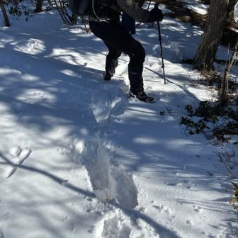 そしてストックを1本出して冬仕様のフル装備👍
最初からこうしとけば良かった😅