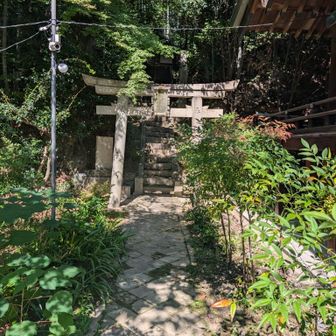 お宮さんで行き止まりでした