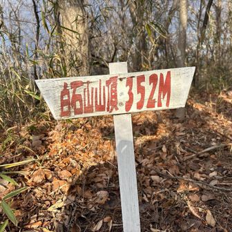 4座目の白石山登頂ー！