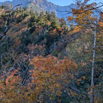 割谷山から撮影。日陰の斜面の方は紅葉進んでいる印象