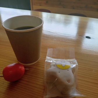 コーヒーとヤギさん最中をいただきました

カラスウリの実は歩いている途中道に落ちていました😊