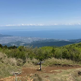 山頂をちょっとだけ過ぎると、相模湾の絶景が‼︎
明神ヶ岳の山頂からほんとにすぐなので、行ったほうがいいです😄