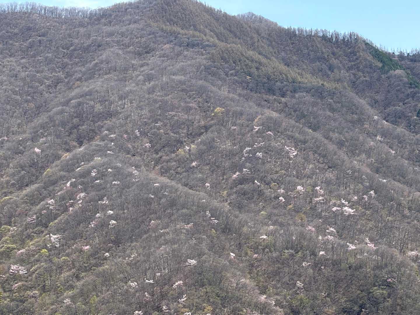 桧沢岳登山口-桧沢岳 周回コースの写真
