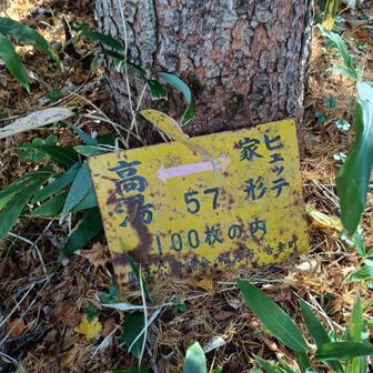 家形ヒュッテとも言うらしい⇒✕
後で調べたらヒュッテは福島県で1952年に設置し1974年に解体され、跡地に家形山避難小屋が設置されたとのこと