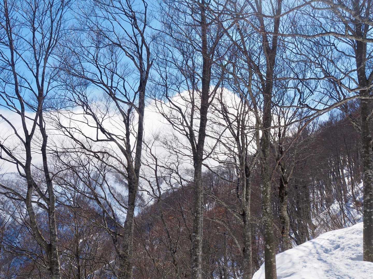 振り返っても金剛堂山は雲の中⤵️