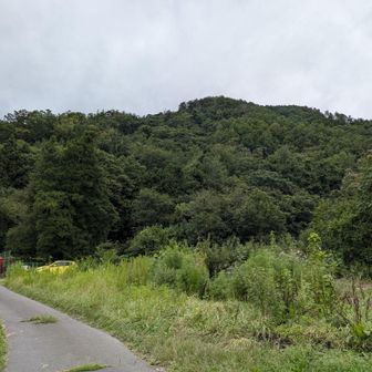 降りる所、見当たらなくて周って来ました

